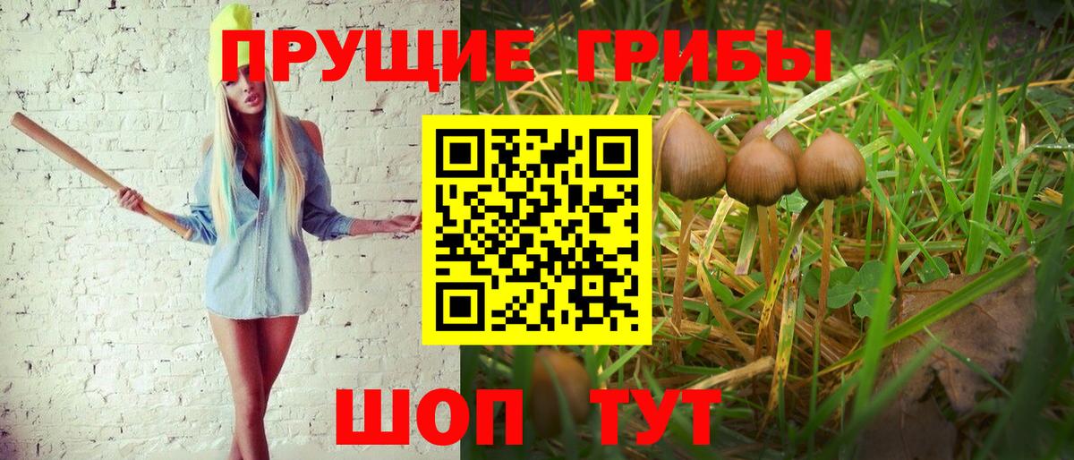 купить  сайты  Вход с VPN  Тобольск  Псилоцибиновые грибы мухоморы 
